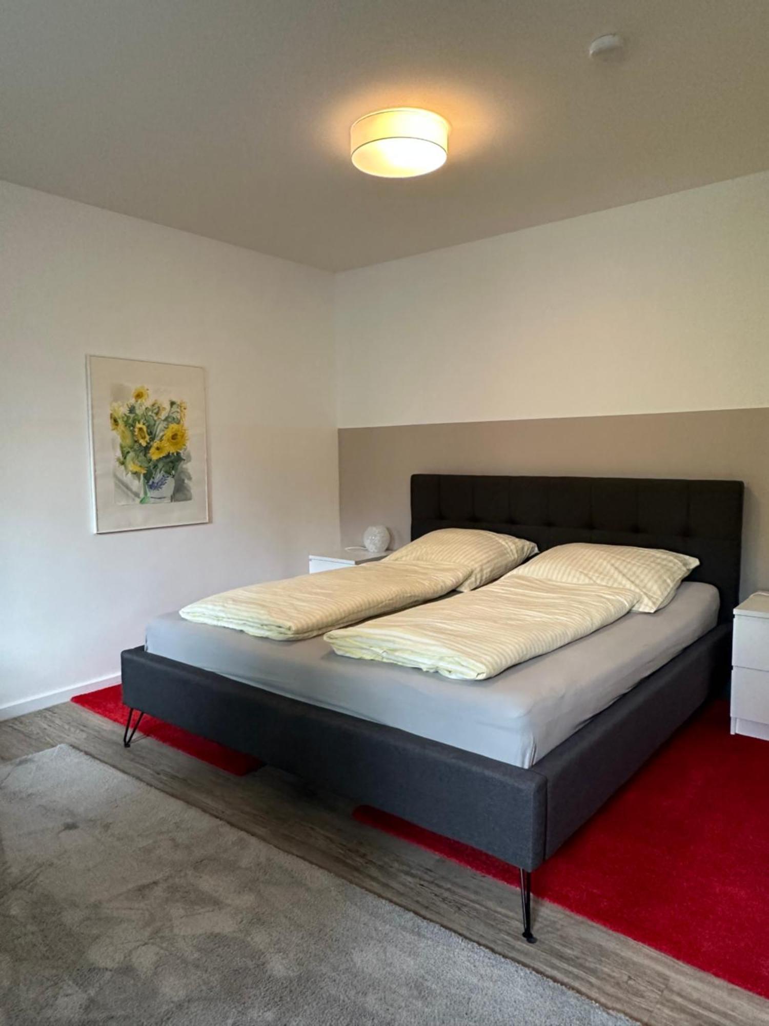 Am Kleinen Muehlenteich - Zentrale Ruhige Lage Mit Parkplatz Und Fahrraedern Apartment Flensburg Ngoại thất bức ảnh